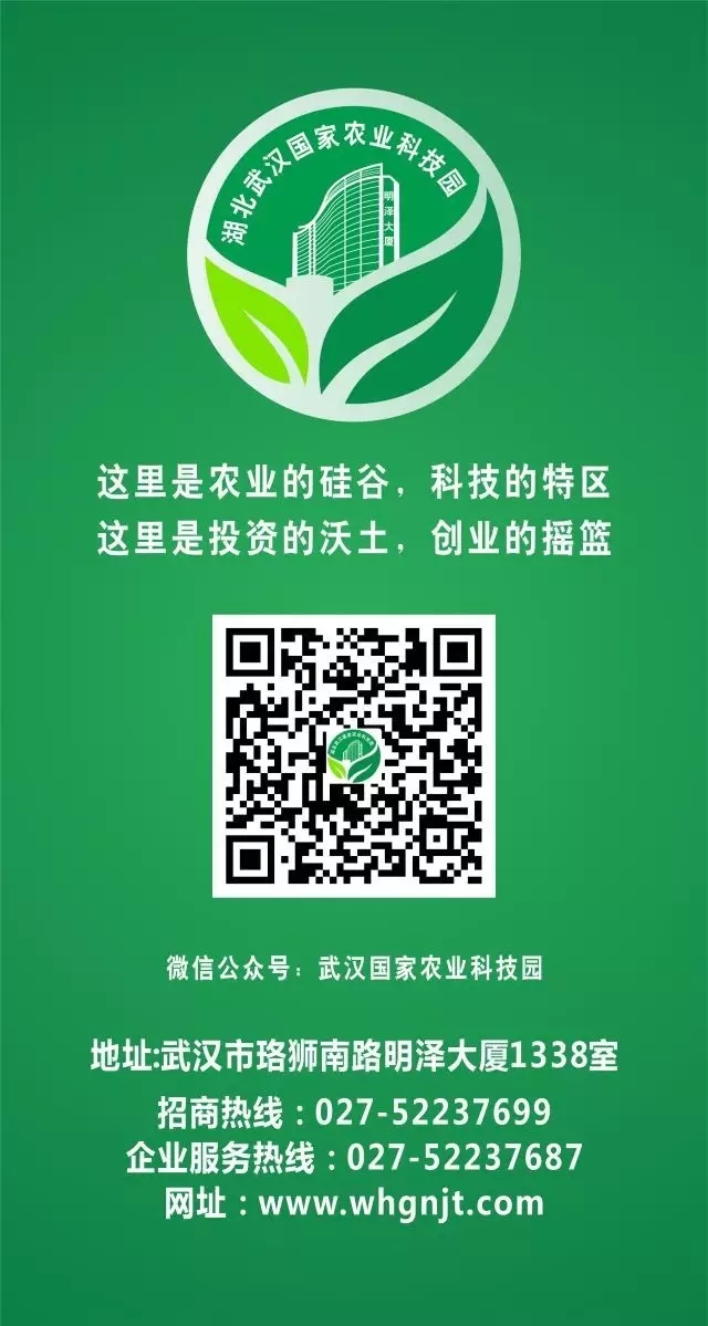 5805ea663b559 东升国际(中国区) - 官方网站